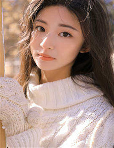 《未婚女子的诡计》